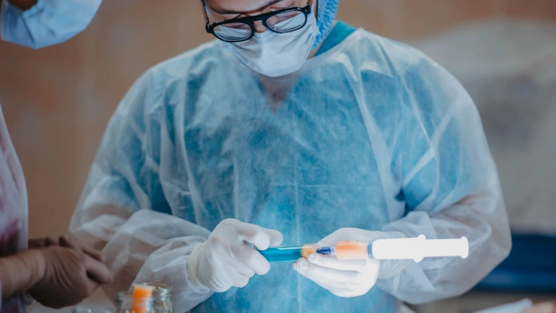 surgeon doctor filters adipose tissue in syringes, lipofilling fat.